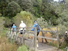 le-roys-bush-walking-tour